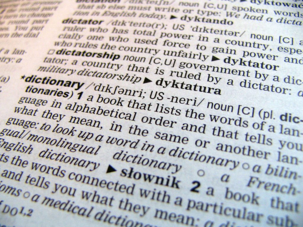 English dictionary (monolingual or bilingual?) | English XP